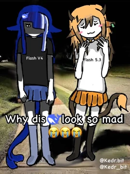 A Kedr reaction-image derivative of the DeepSeek V4 Flash and GLM-5.3 Flash pricing comic. The blue-haired DeepSeek V4 Flash whale girl stands stiffly and angrily in a black shirt and blue skirt on a nighttime road. Beside her, the horned orange-haired GLM-5.3 Flash goat girl blushes with both hands near her chest, wearing a white “Flash 5.3” shirt and orange skirt. Large outlined text asks, “Why dis [whale] look so mad” followed by three crying-face emojis. Kedr’s source caption repeats the question and quote-posts the original DeepSeek-versus-GLM pricing comic.