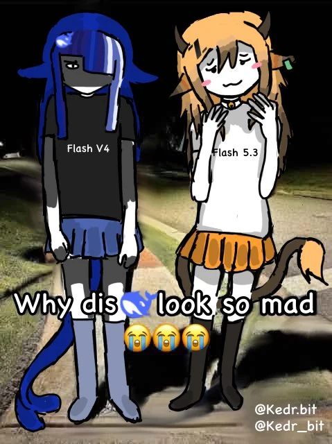 A Kedr reaction-image derivative of the DeepSeek V4 Flash and GLM-5.3 Flash pricing comic. The blue-haired DeepSeek V4 Flash whale girl stands stiffly and angrily in a black shirt and blue skirt on a nighttime road. Beside her, the horned orange-haired GLM-5.3 Flash goat girl blushes with both hands near her chest, wearing a white “Flash 5.3” shirt and orange skirt. Large outlined text asks, “Why dis [whale] look so mad” followed by three crying-face emojis. Kedr’s source caption repeats the question and quote-posts the original DeepSeek-versus-GLM pricing comic.
