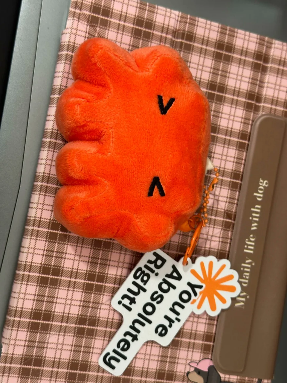 A small orange unofficial Claude plush keychain lies beside a tag reading “you’re absolutely right!”